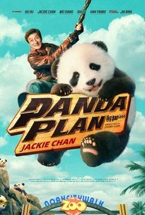 Cover zu Panda Plan